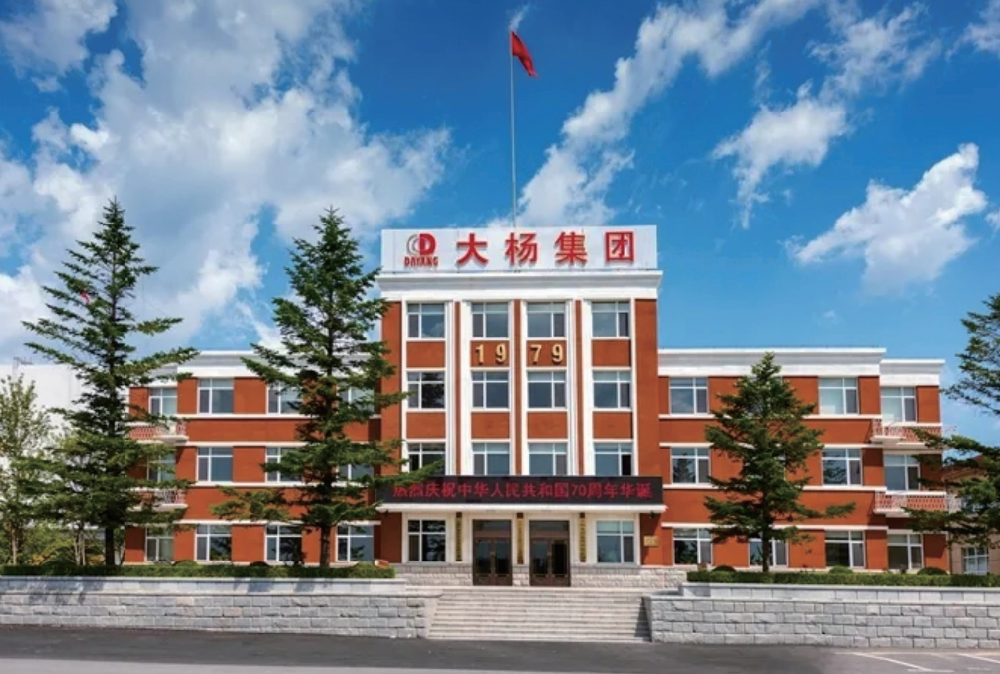 大杨集团
